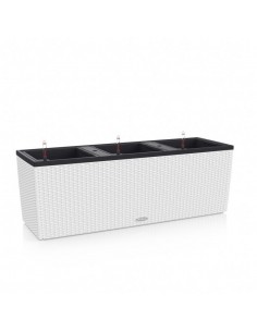 Розумний вазон 