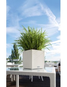 Розумний вазон  2