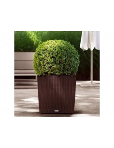 Розумний вазон 