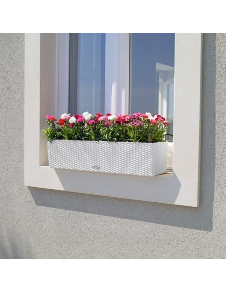 Lechuza Balconera Cottage 80