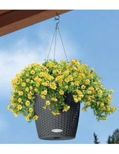 Розумний вазон 