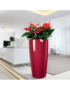 Розумний вазон 