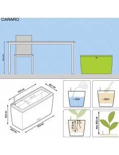 Mini-Deltini Premium 2