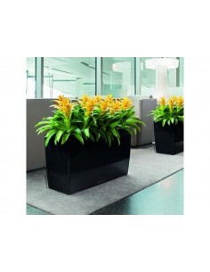 Mini-Deltini Premium