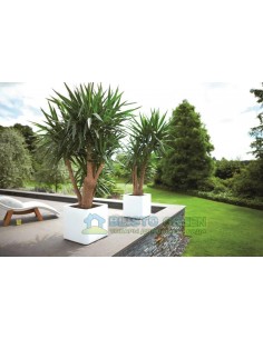 PURE CONE HIGH, 66,3 см 2