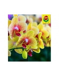 Удобрение Compo для орхидей 500 мл 2