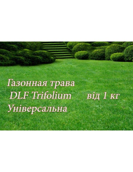 Газонна трава Universal тіньова, 20 кг