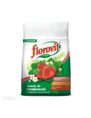 Florovit (Флоровит) для клубники, 1 кг