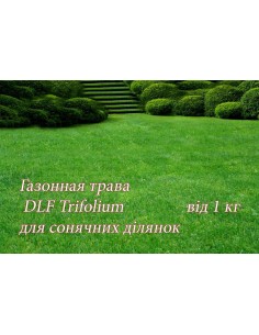 Газонная трава ДЛФ-DLF...