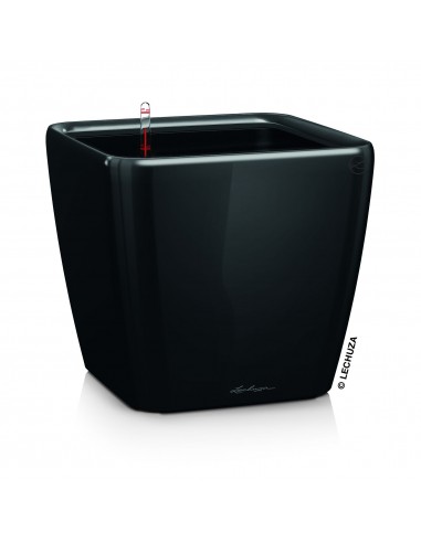Розумний вазон Lechuza Quadro Premium LS,  21 см