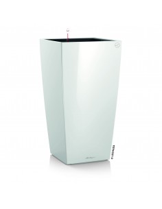 Розумний вазон 