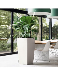 Розумний вазон 