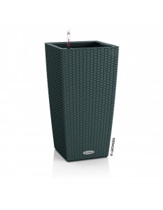 Розумний вазон 2