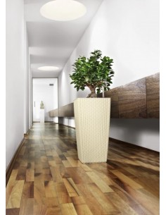 Розумний вазон