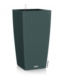 Розумний вазон 